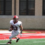 Hoisington_v_Sedgewick_09-03-11_0426 Hoisington_v_Sedgewick_09-03-11_0426