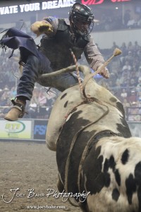 Championship Bull Riding Roto-Mix Dodge City Shootout Ardie Maier gets bucked from Buffalo Hump of Talbert Bucking Bulls in the Championship Bull Riding Roto-Mix Dodge City Shootout at United Wireless Arena in Dodge City, Kansas on March 17, 2012. Photo: Joey Bahr