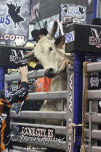 Championship Bull Riding Roto-Mix Dodge City Shootout Change-up from Exclusive Genetics/Jaynes Gang & Team Bays tries to leave the chute early in the Championship Bull Riding Roto-Mix Dodge City Shootout at United Wireless Arena in Dodge City, Kansas on March 17, 2012. Photo: Joey Bahr