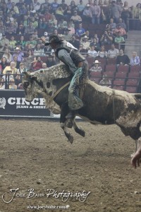 Championship Bull Riding Roto-Mix Dodge City Shootout Craig Jackson rides Mr. Wilson from Wilson/King in the Championship Bull Riding Roto-Mix Dodge City Shootout at United Wireless Arena in Dodge City, Kansas on March 17, 2012. Photo: Joey Bahr