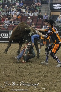 Championship Bull Riding Roto-Mix Dodge City Shootout Stimpy from Dibbet Rodeo Bulls/Double D Livestock chases after Francisco Morales while CBR Bullfighters try to step in during the Championship Bull Riding Roto-Mix Dodge City Shootout at United Wireless Arena in Dodge City, Kansas on March 17, 2012. Photo: Joey Bahr