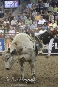 Championship Bull Riding Roto-Mix Dodge City Shootout Stetson Lewis dismounts from Bucking Nightmare of Jatt Bucking Bulls in the Championship Bull Riding Roto-Mix Dodge City Shootout at United Wireless Arena in Dodge City, Kansas on March 17, 2012. Photo: Joey Bahr