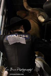 Championship Bull Riding Roto-Mix Dodge City Shootout Jay Morrow tightens up his rope on Rocking Wolf from Danny Reagan in the Championship Bull Riding Roto-Mix Dodge City Shootout at United Wireless Arena in Dodge City, Kansas on March 17, 2012. Photo: Joey Bahr