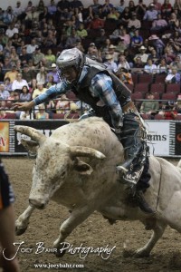 Championship Bull Riding Roto-Mix Dodge City Shootout Gustavo Pedrero rides in the Championship Round on Wine Hou from Jatt Bucking Bulls in the Championship Bull Riding Roto-Mix Dodge City Shootout at United Wireless Arena in Dodge City, Kansas on March 17, 2012. Photo: Joey Bahr