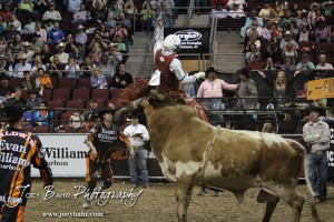 Championship Bull Riding Roto-Mix Dodge City Shootout Bugle from Talbert Bucking Bulls sends Tate Harris flying after his Championship Round ride in the Championship Bull Riding Roto-Mix Dodge City Shootout at United Wireless Arena in Dodge City, Kansas on March 17, 2012. Photo: Joey Bahr