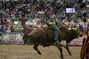 Championship Bull Riding Roto-Mix Dodge City Shootout Robson Aragao rides Redneck from Ferguson & Harris in the Championship Round of the Championship Bull Riding Roto-Mix Dodge City Shootout at United Wireless Arena in Dodge City, Kansas on March 17, 2012. Photo: Joey Bahr
