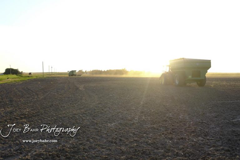 2019 Central Kansas Wheat Harvest 6-27-19